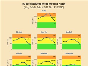 [Infographic] Dự báo chất lượng không khí trên cả nước - tuần từ 8/12 đến 14/12/2025