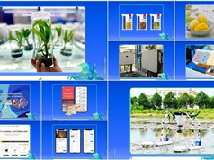 10 startup tranh tài tại vòng chung kết Techfest Việt Nam 2025