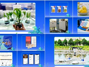 10 startup tranh tài tại vòng chung kết Techfest Việt Nam 2025