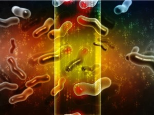 Cứu vi sinh vật: Bước tiến quan trọng nhất trong bảo tồn đa dạng sinh học