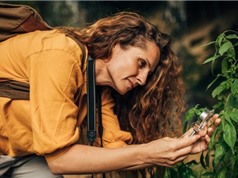 Các startup bảo tồn thiên nhiên "khó" gọi vốn