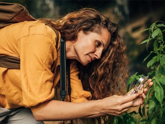 Các startup bảo tồn thiên nhiên "khó" gọi vốn