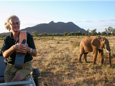Iain Douglas-Hamilton: người bảo hộ loài voi