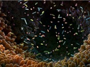 Ứng dụng AI tiên tiến để giải mã hệ sinh thái phức tạp của vi khuẩn đường ruột