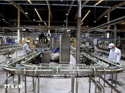 Hợp chất kháng khuẩn mới có thể giúp điều trị bệnh viêm vú ở bò