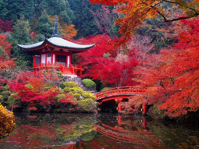 9. Kyoto. Là thủ phủ cổ của Nhật Bản có lịch sử hàng nghìn năm, là nơi đóng đô của các hoàng đế Nhật Bản từ năm 794 - 1868. Với sự kết hợp hoàn hảo giữa cổ điển và hiện đại, những con phố mua sắm nhộn nhịp và hình ảnh các geisha yêu kiều, Kyoto luôn là điểm đến hấp dẫn du khách trong và ngoài nước.