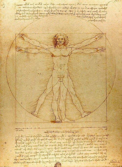 Bức “Vitruvian Man” Của Leonardo Da Vinci: Tỉ Lệ Hoàn Mĩ Của Cơ Thể Con  Người